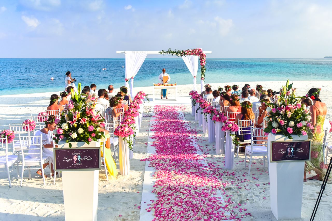 The Art of Drawing Readers In: Your attractive post title goes here A beautiful outdoor beach wedding setup with rose petals, guests, and ocean view.